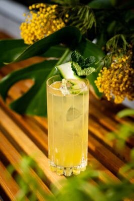 DINGLE'S Clogher Cooler | Coastal Irish Cocktail Delight – Whisky Center