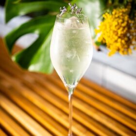 Challenge your mixology skills with Dingle’s Spritz: premium vodka, vanilla syrup, Prosecco and soda. Elevate your summer with this bold, sensory experience.